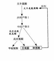 细胞缺氧研究实验设计方案[细胞缺氧研究实验设计方案怎么写]