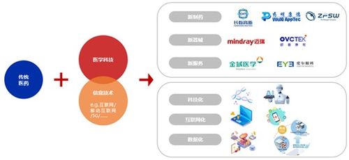 科技基金设计方案[科技基金设计方案模板]