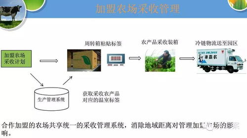 智慧农设计方案[智慧农业系统设计方案]