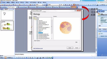 生物作图ppt素材,生物绘图素材