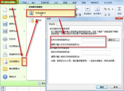 wpsppt加密方法,wpsppt如何加密码