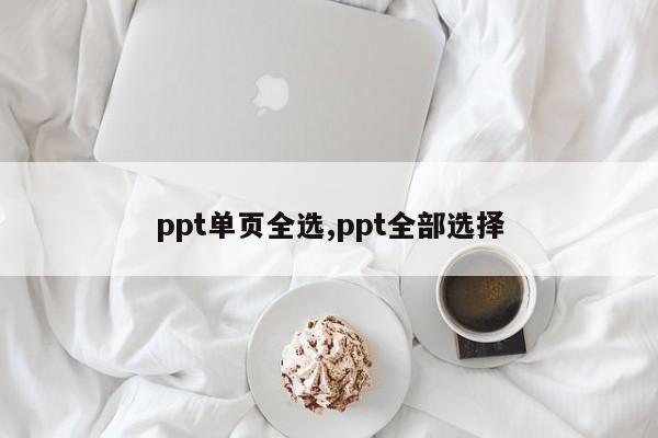 ppt单页全选,ppt全部选择